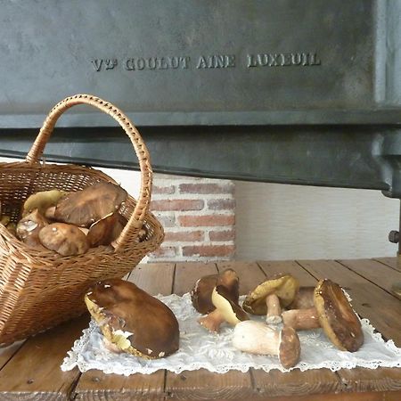 Domaine De La Tannerie Chambres D'Hotes Et Appartements Prades  Ngoại thất bức ảnh