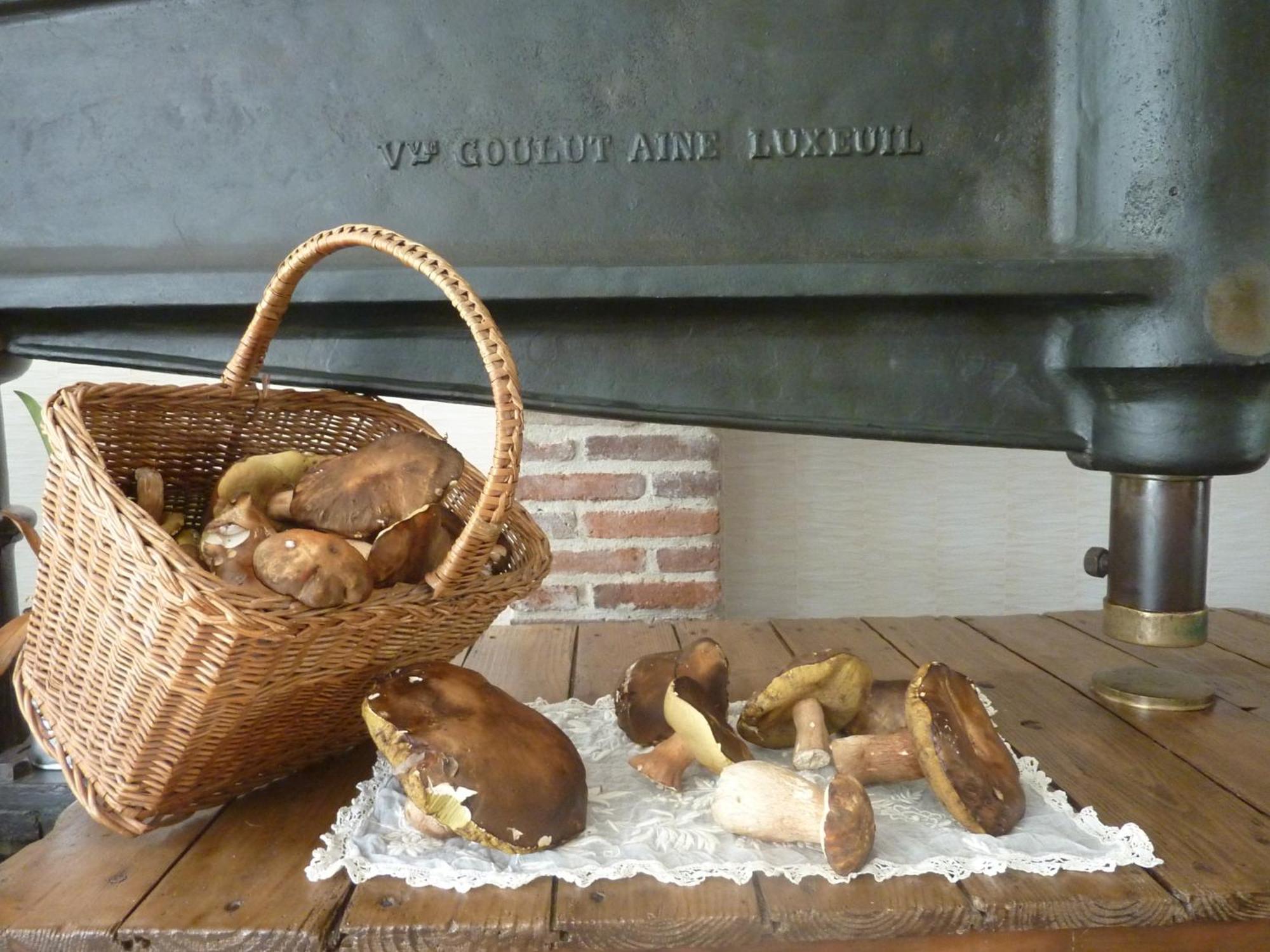 Domaine De La Tannerie Chambres D'Hotes Et Appartements Prades  Ngoại thất bức ảnh